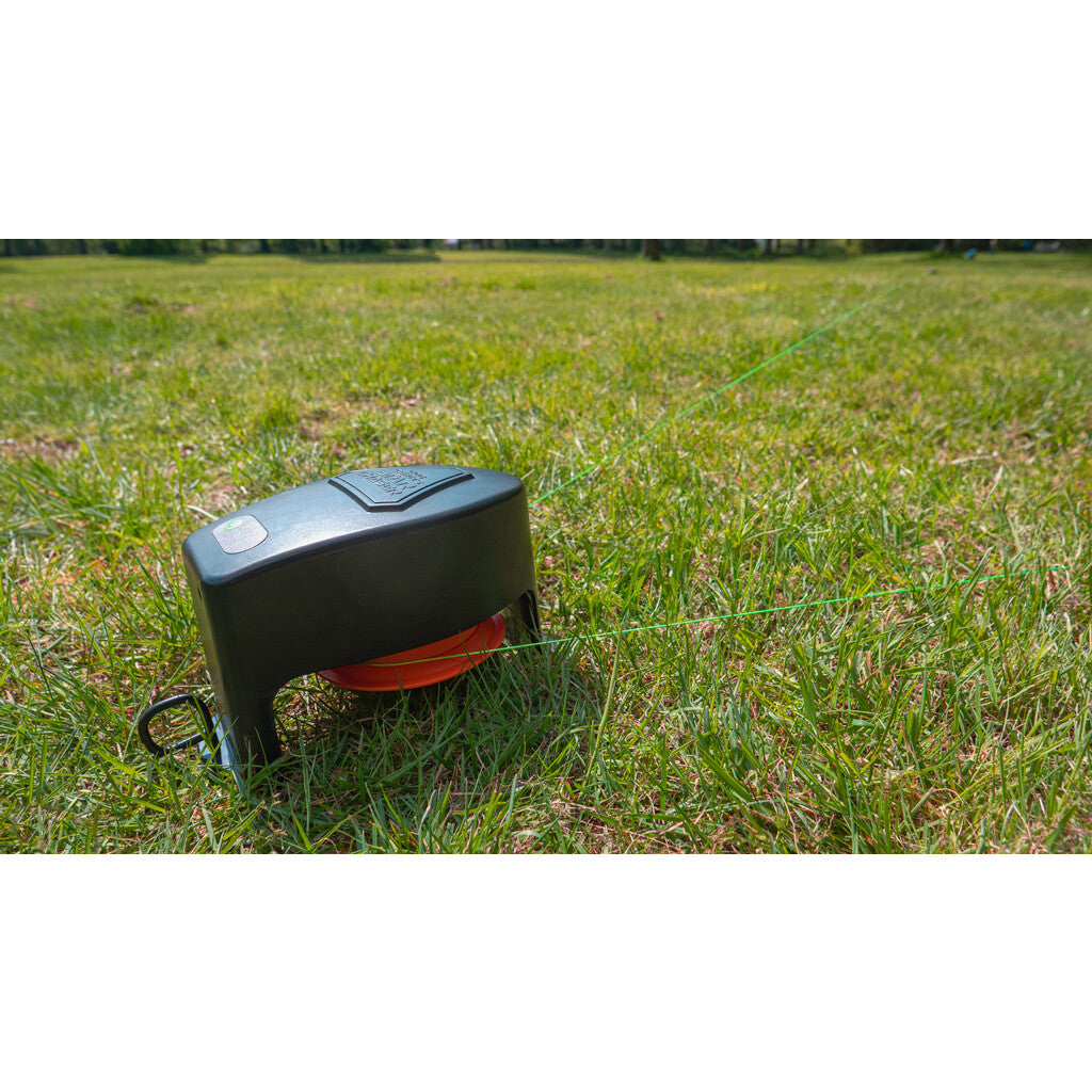 Dog Comets Star Chaser