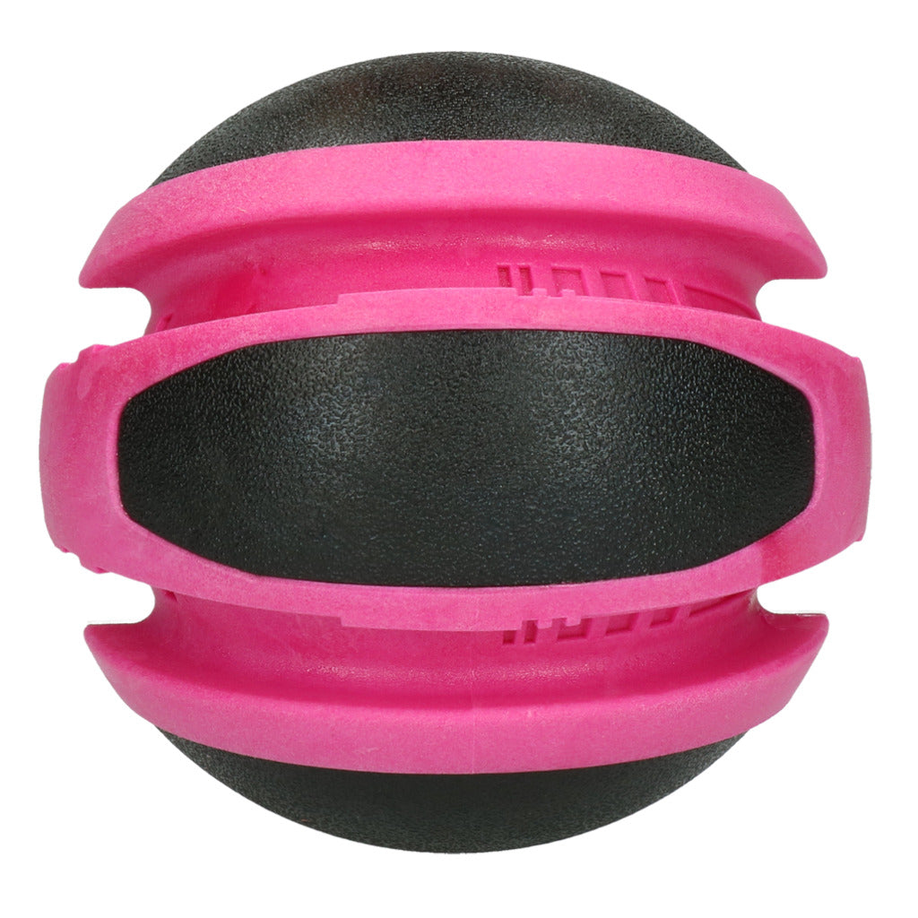 Dog Comets Planets Rosa