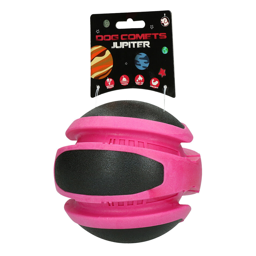 Dog Comets Planets Rosa