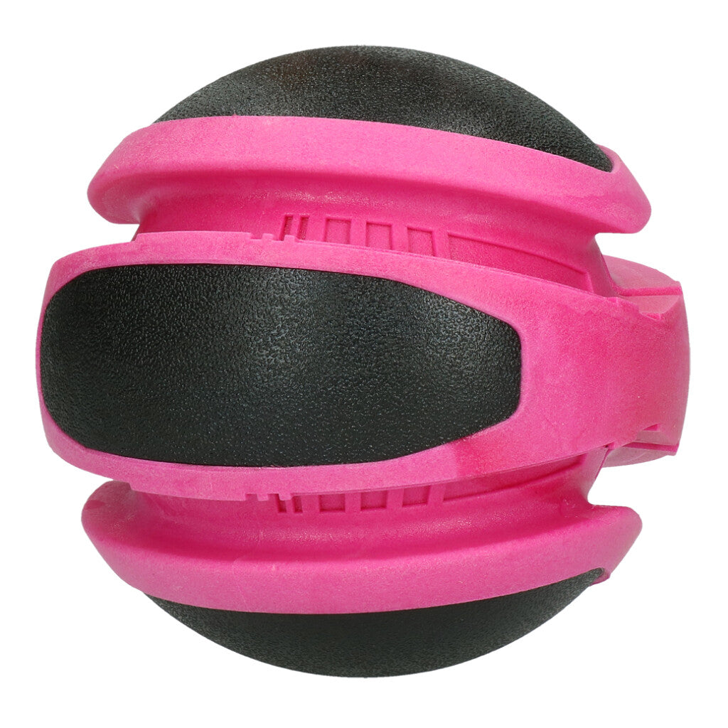 Dog Comets Planets Rosa