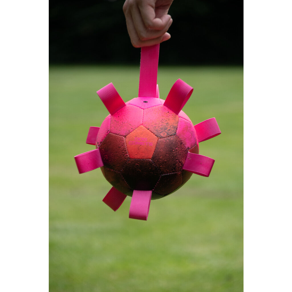 Dog Comets Hypernova Orange Rosa