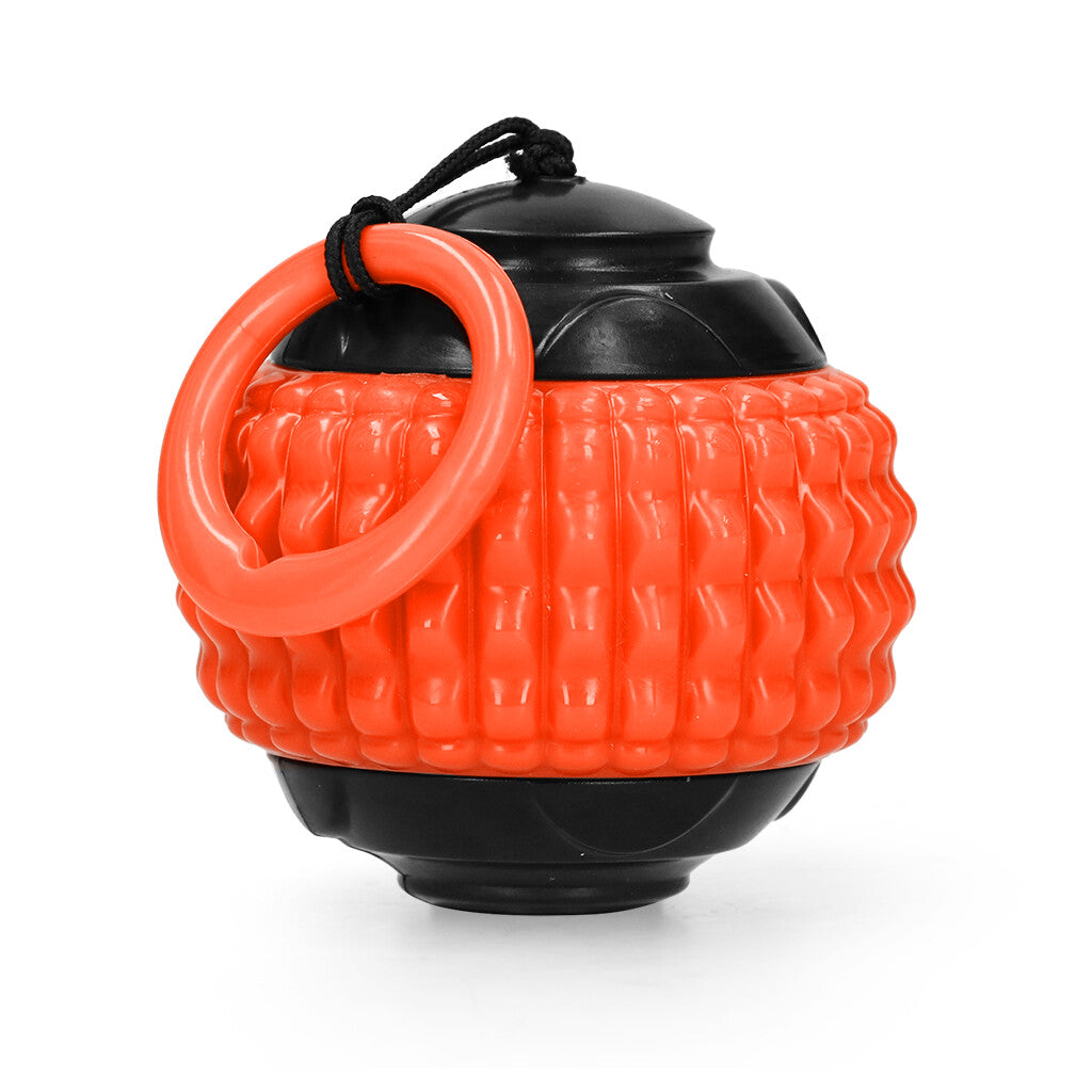 Dog Comets Blazar Jet Orange