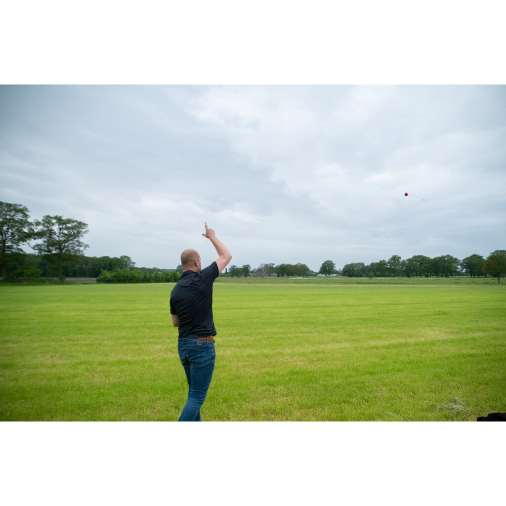 Dog Comets Blazar Jet Grün