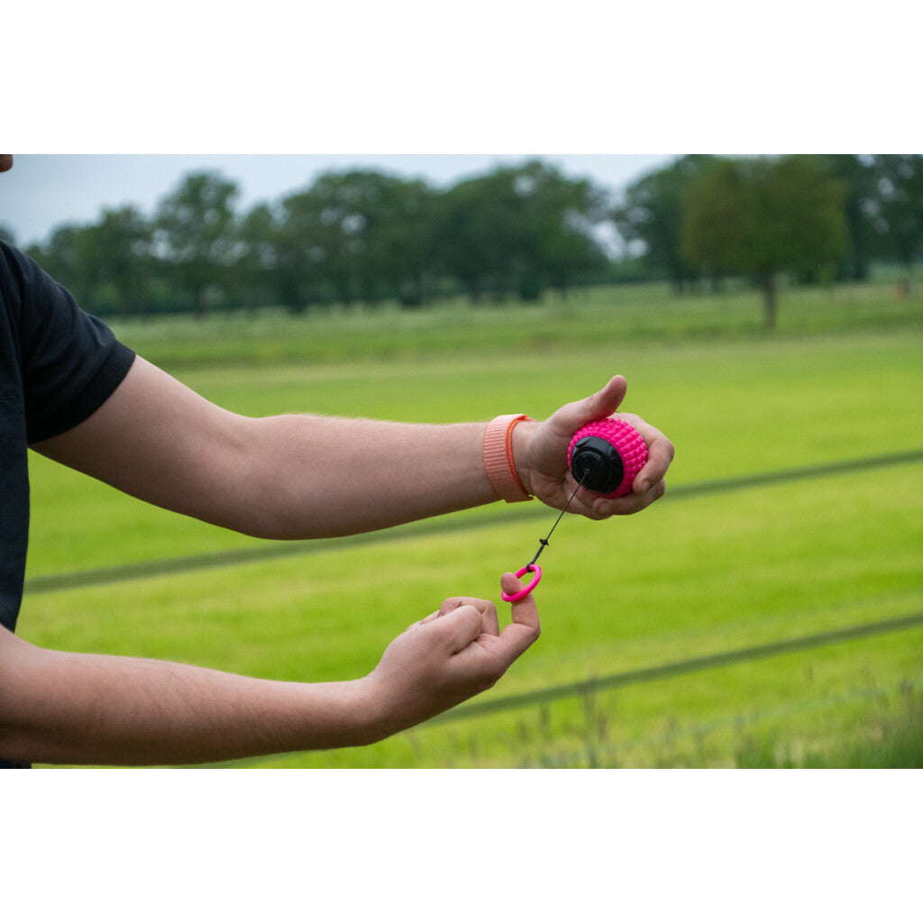 Dog Comets Blazar Jet Rosa