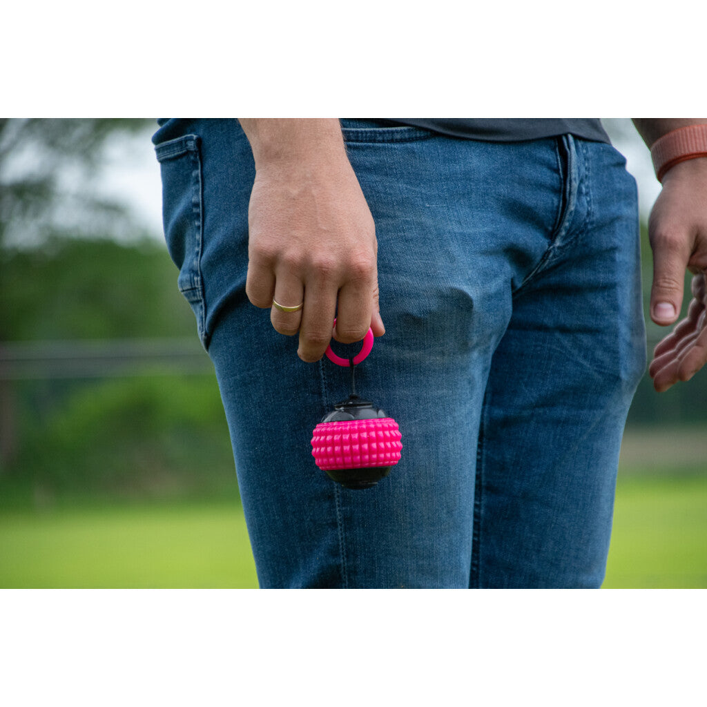 Dog Comets Blazar Jet Rosa