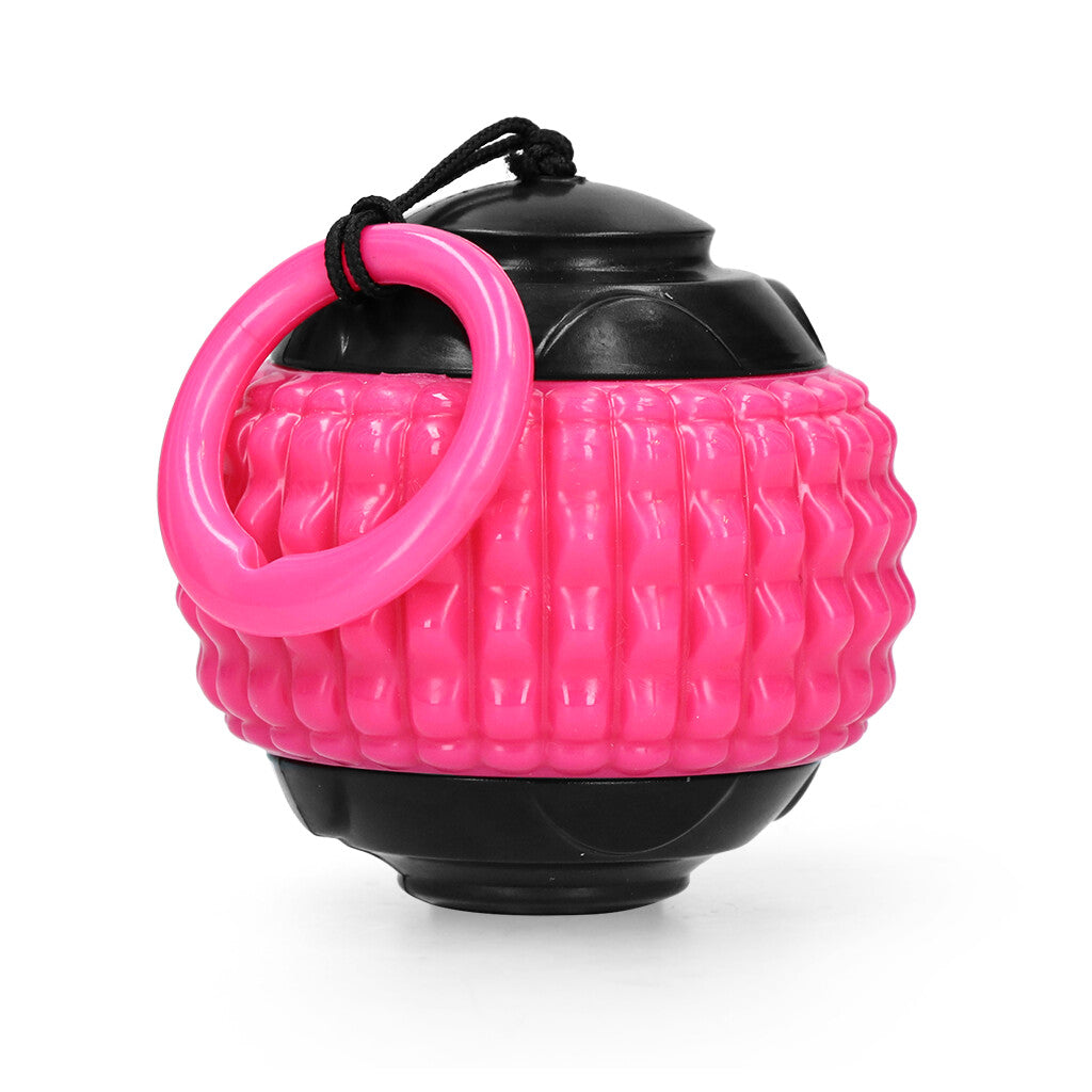 Dog Comets Blazar Jet Rosa