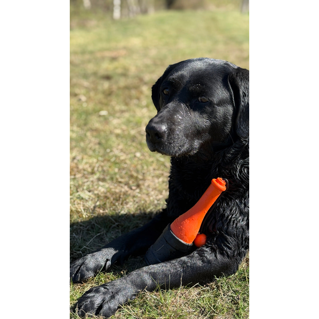 Dog Comets Bobber Orange