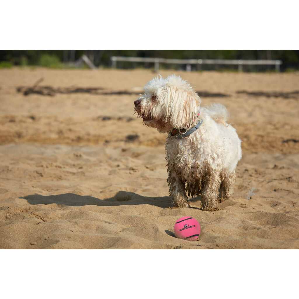 Dog Comets Neutron Star Tennisball Mit Quietscher L Rosa (2-pack)