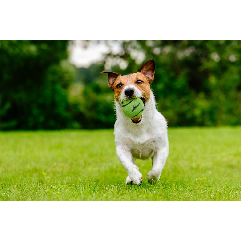 Dog Comets Neutron Star Tennisball Mit Quietscher L Grün (2-pack)