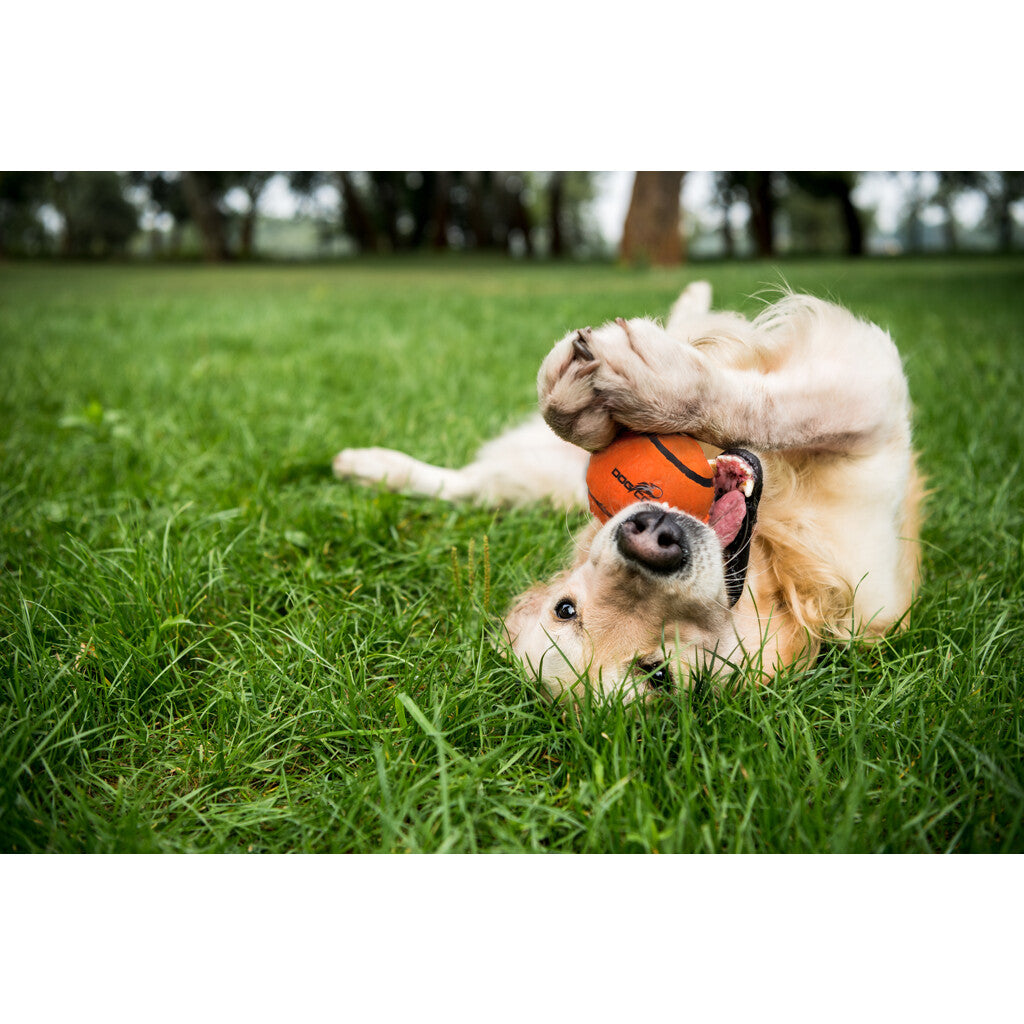 Dog Comets Starlight Tennisball M Orange (3-Pack)