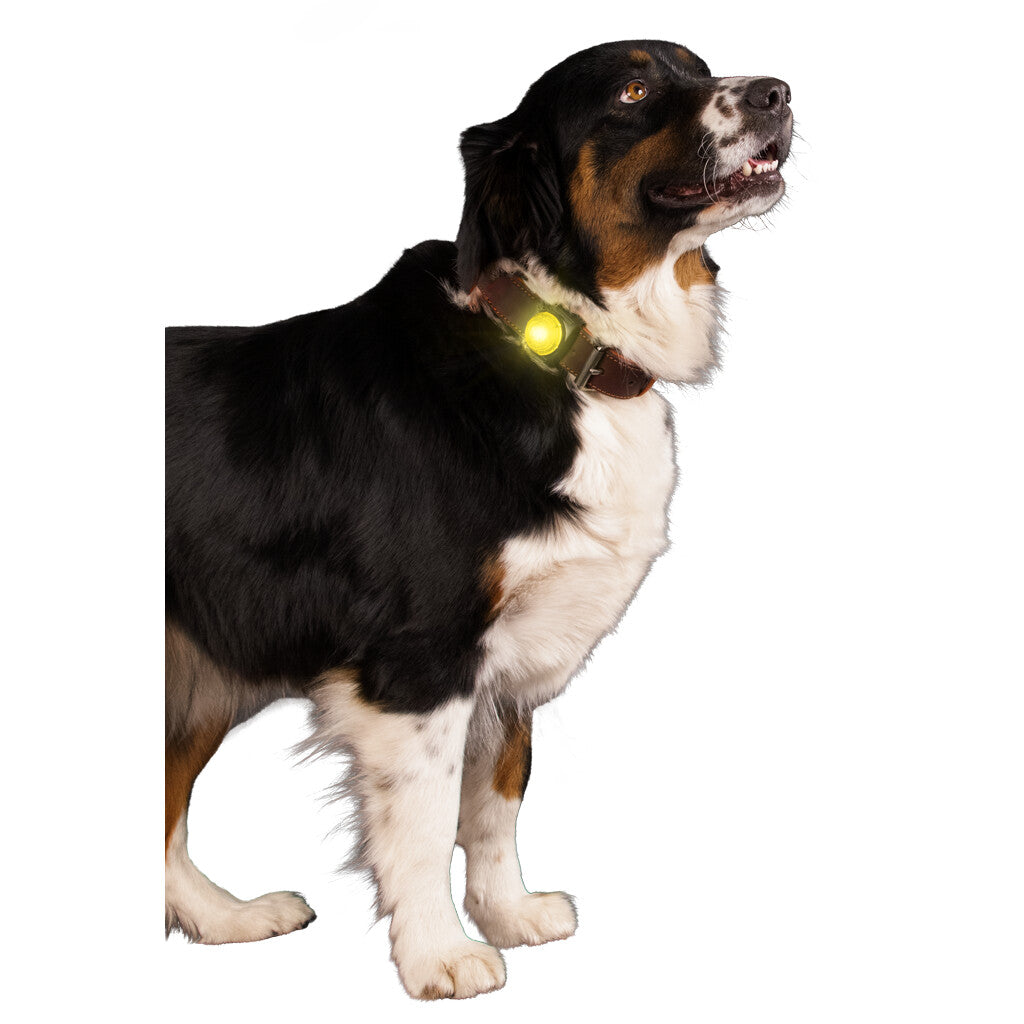 Nightwalk Safety Light Gelb