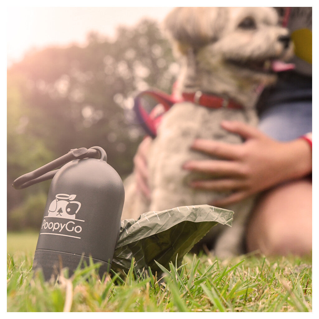 Package deal PoopyGo Regular