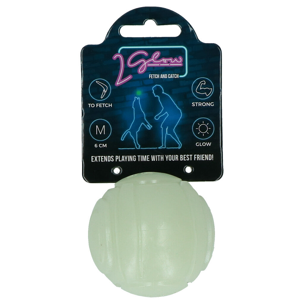 2 Glow Fetch & Play