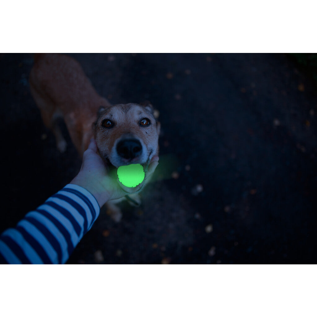 2 Glow Fetch & Play