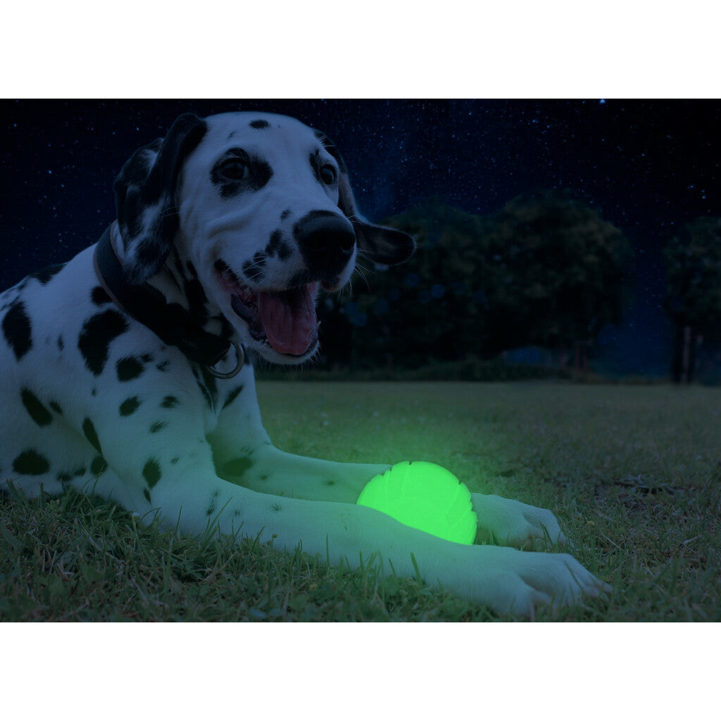 2 Glow Fetch & Play