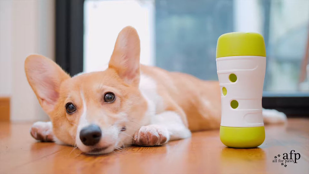 AFP Interactives Fetch'N'Treat Original