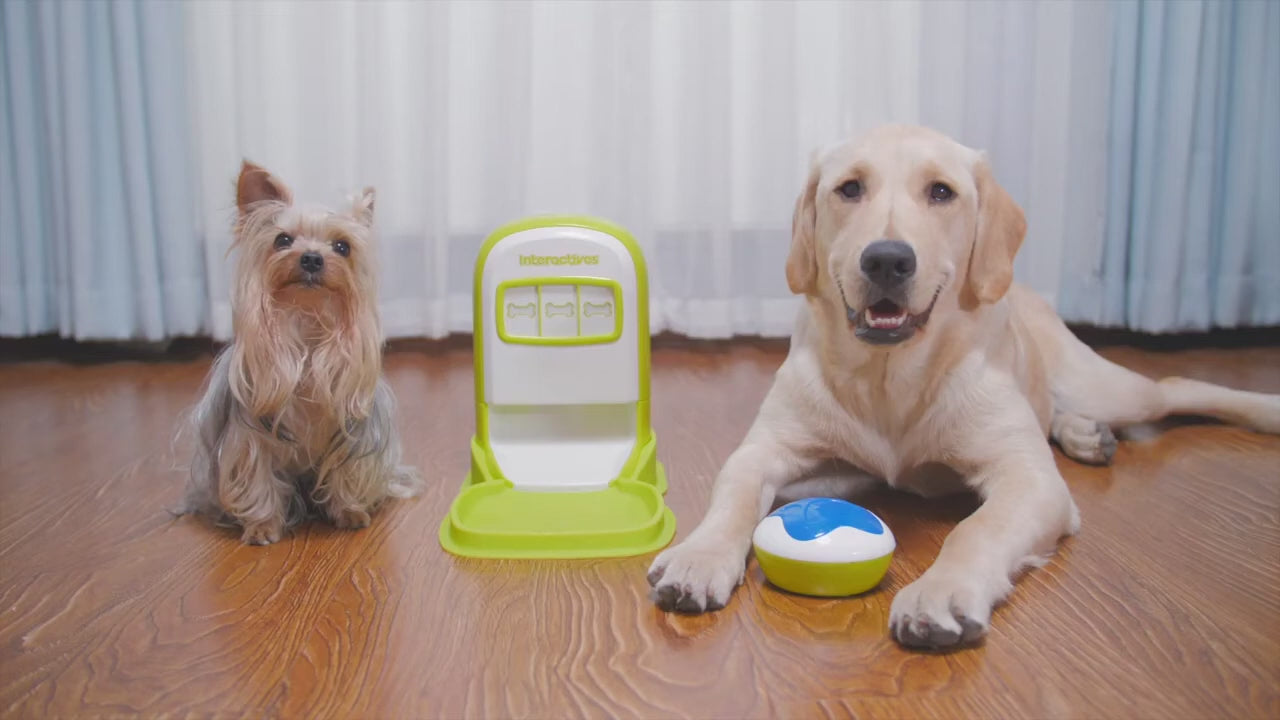 AFP Interactives - Lucky Treat with Rolling Ball