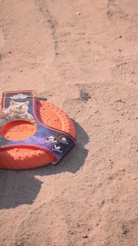 Dog Comets UFO Flyer Rosa